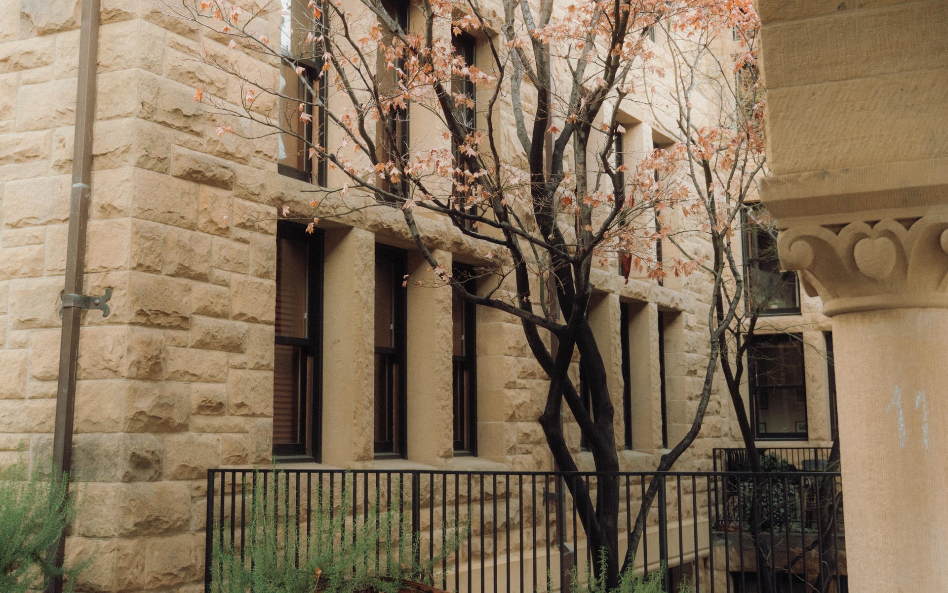Fino bespoke tailoring studio building in Los Gatos