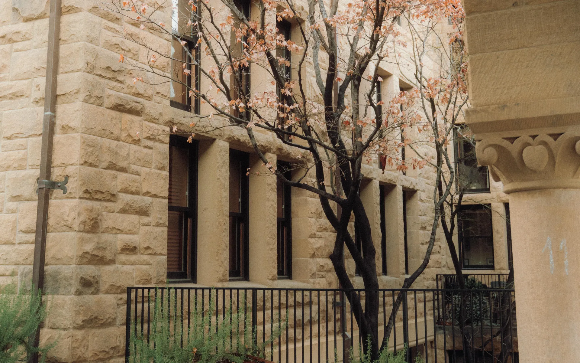 Best Wedding Venues in Los Gatos for a Black-Tie Event